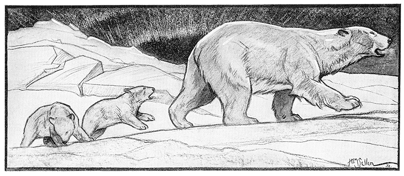 H.E.M. Sellen Polar Bears